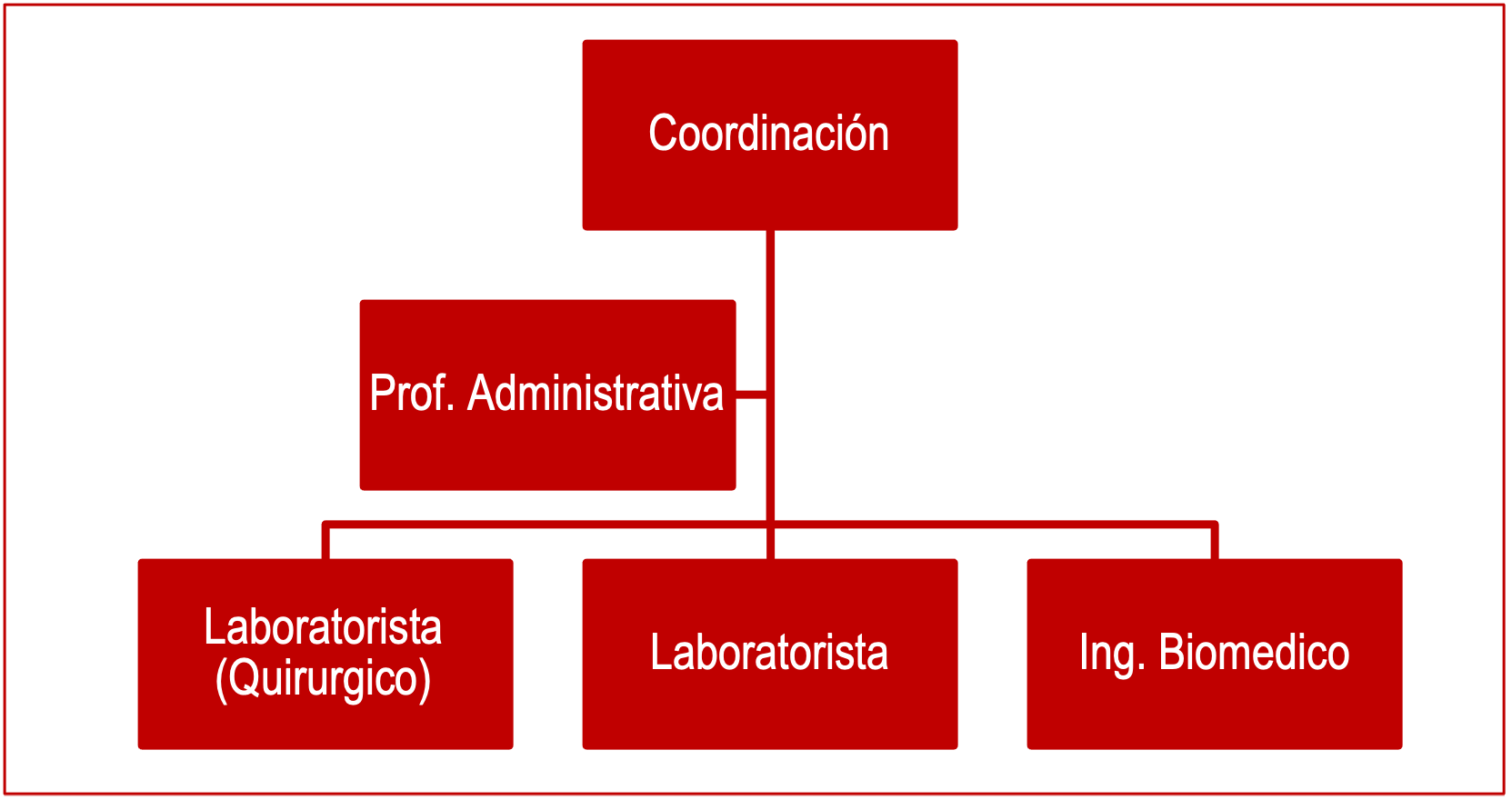 Estructura Lab