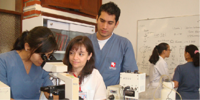 Se reestructura el Programa Semilleros de Investigaci&oacute;n de la Universidad del Valle